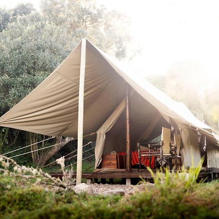 Quatermain'S 1920'S Safari Camp - 阿马卡拉保护区 外观 照片