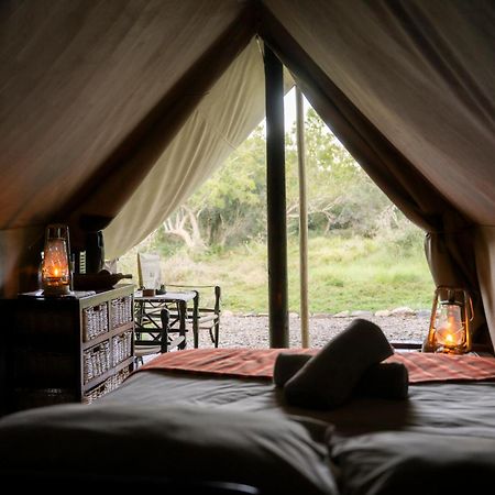 Quatermain'S 1920'S Safari Camp - 阿马卡拉保护区 外观 照片