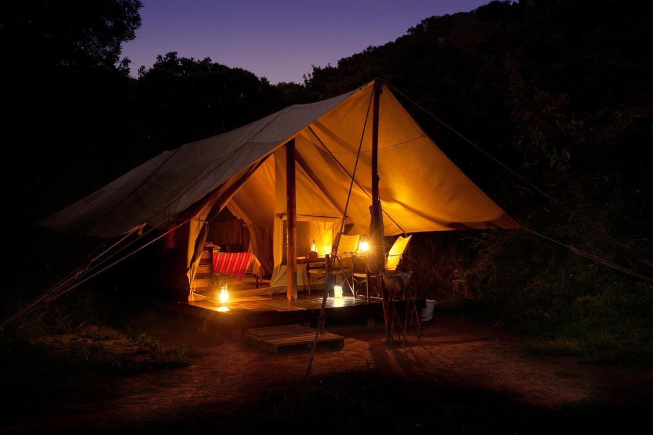 Quatermain'S 1920'S Safari Camp - 阿马卡拉保护区 外观 照片