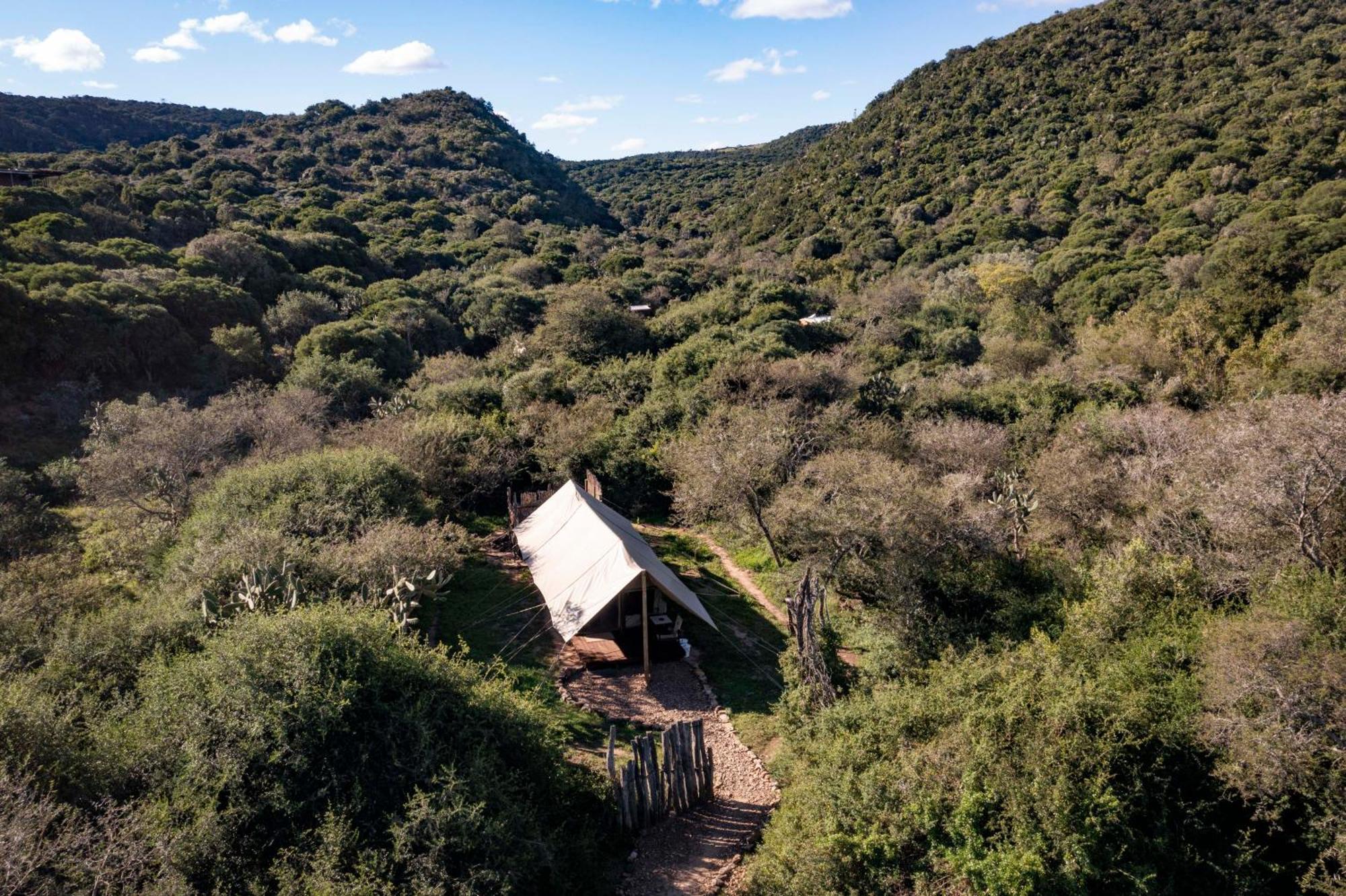 Quatermain'S 1920'S Safari Camp - 阿马卡拉保护区 外观 照片